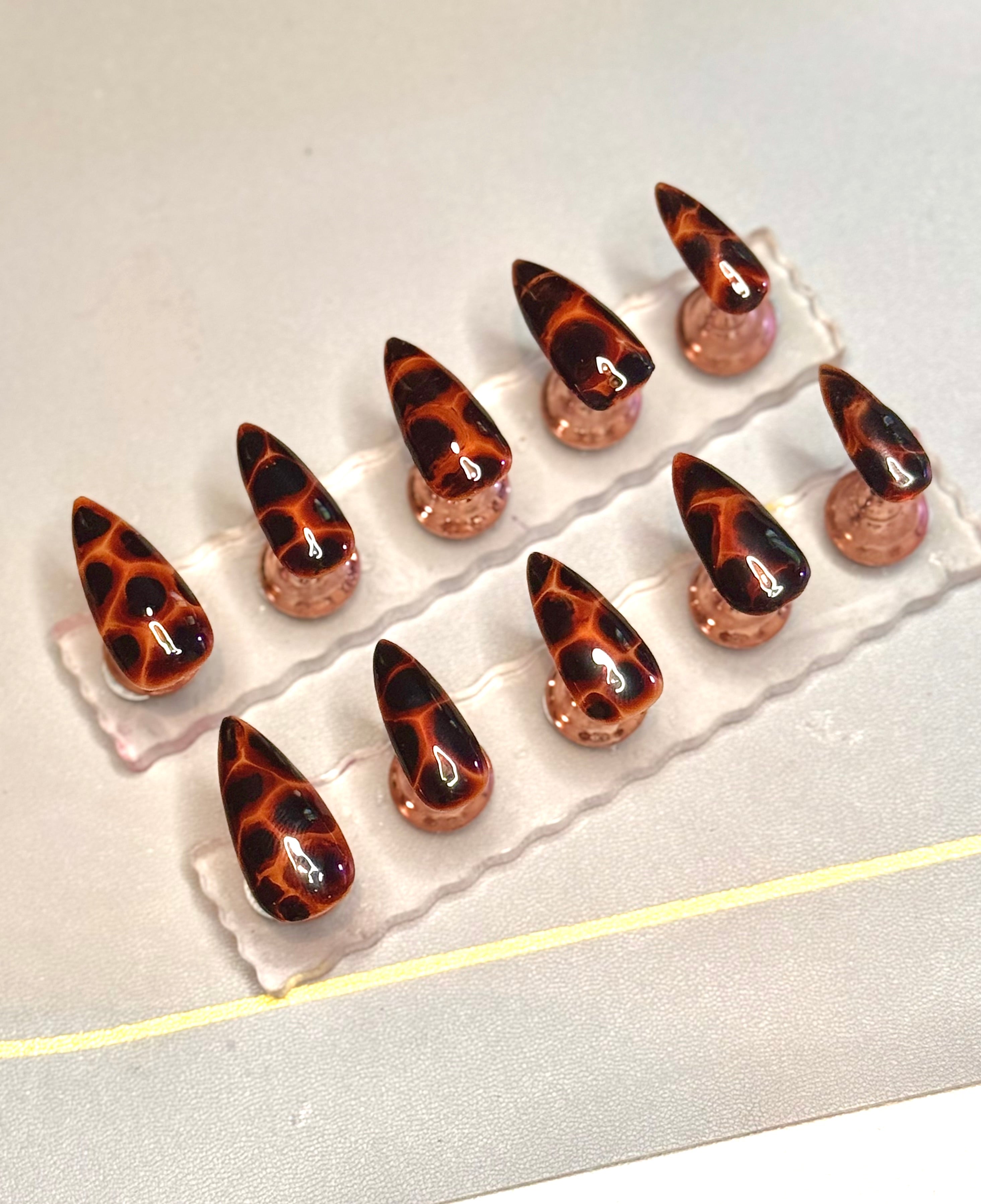 Tortoise Shell